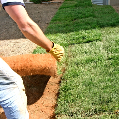 Landscaping in DFW